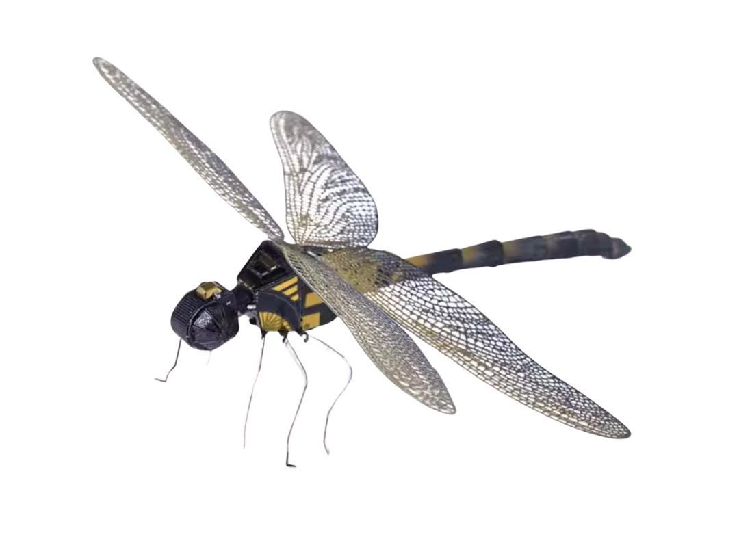 Dragonfly Metal Model Kit 3D Puzzle Craft Gift Laser Cut Puzzles Jigsaw Hobby Gift for Insect lover