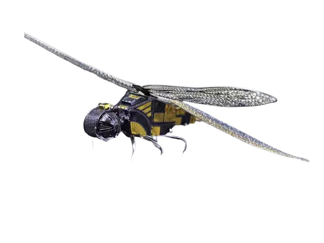 Dragonfly Metal Model Kit 3D Puzzle Craft Gift Laser Cut Puzzles Jigsaw Hobby Gift for Insect lover