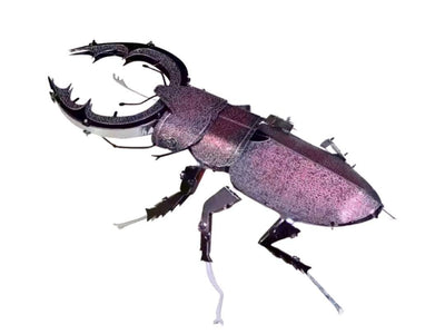 Stag Beetle Metal Model Kit 3D Puzzle Craft Gift Laser Cut Puzzles Jigsaw Hobby Gift for Insect lover