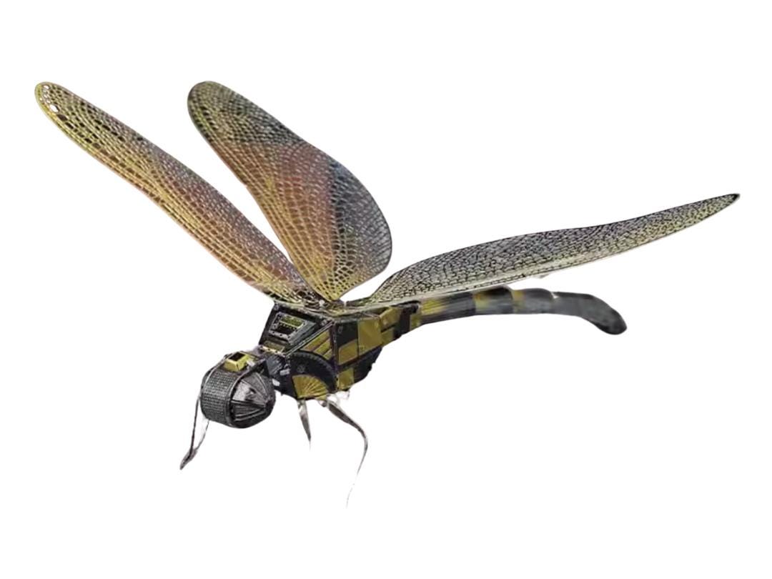 Dragonfly Metal Model Kit 3D Puzzle Craft Gift Laser Cut Puzzles Jigsaw Hobby Gift for Insect lover