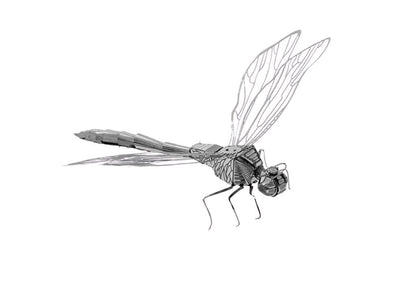 Dragonfly Metal Model Kit 3D Puzzle Craft Gift Laser Cut Puzzles Jigsaw Hobby Gift for Insect lover