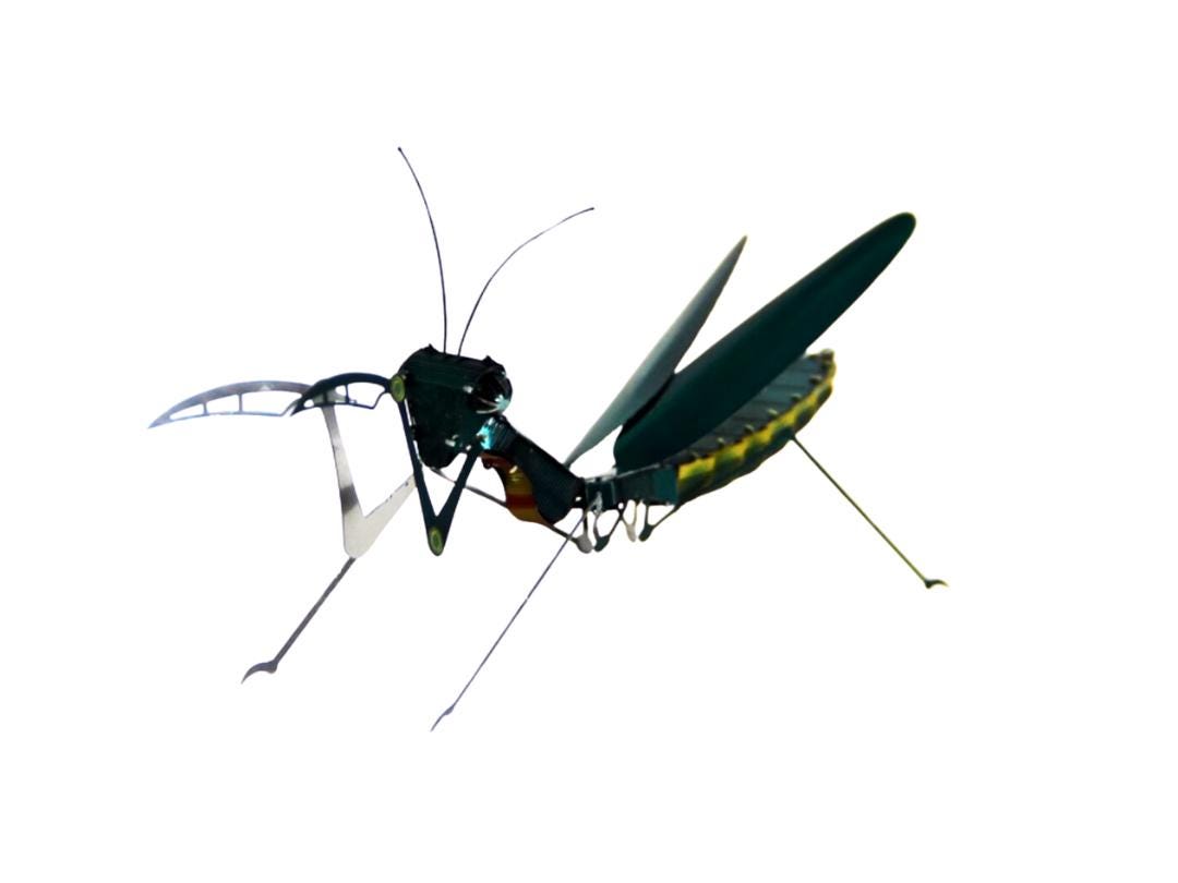 Mantis Metal Model Kit 3D Puzzle Craft Gift Laser Cut Puzzles Jigsaw Hobby Gift for Insect lover