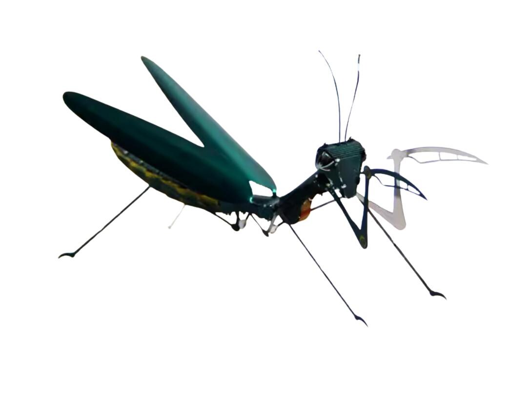 Mantis Metal Model Kit 3D Puzzle Craft Gift Laser Cut Puzzles Jigsaw Hobby Gift for Insect lover