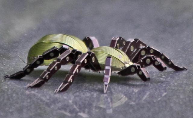 Spider Metal Model Kit 3D Puzzle Craft Gift Laser Cut Puzzles Jigsaw Hobby Gift for Insect lover