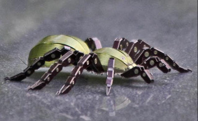 Spider Metal Model Kit 3D Puzzle Craft Gift Laser Cut Puzzles Jigsaw Hobby Gift for Insect lover
